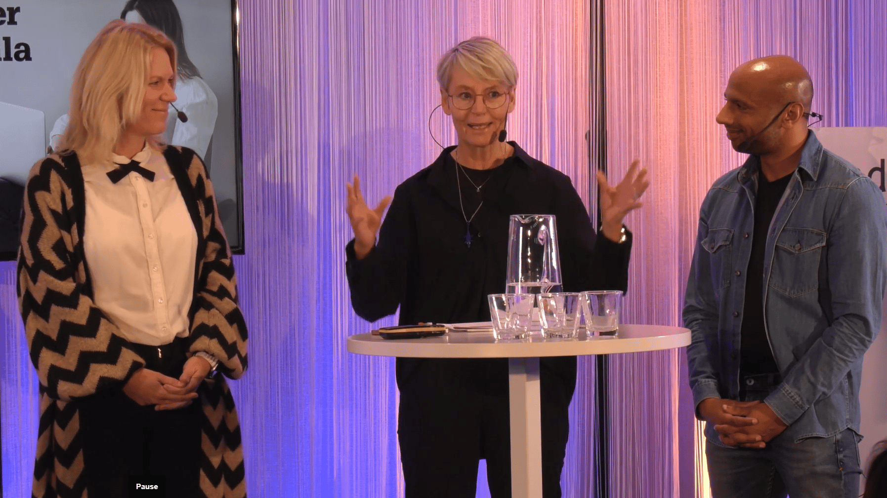 Ylva deltar i panelsamtal