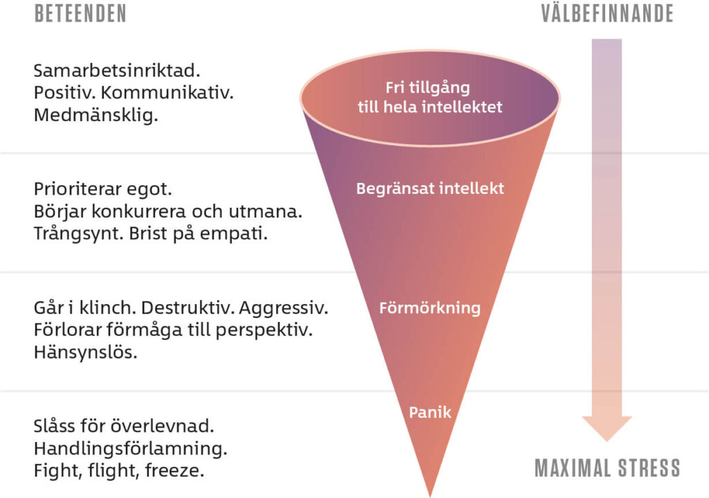 En bild som beskriver de olika stegen när vi går från avspänning till maximal stress. Hur hjärnan "släcker ner" och vi blir allt mer oförmögna att fatta kloka beslut.