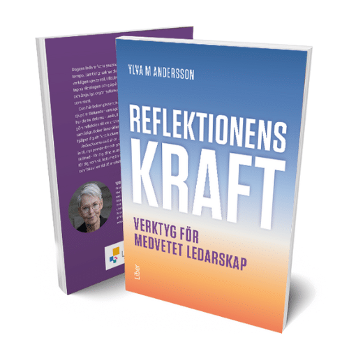 Reflektionens kraft